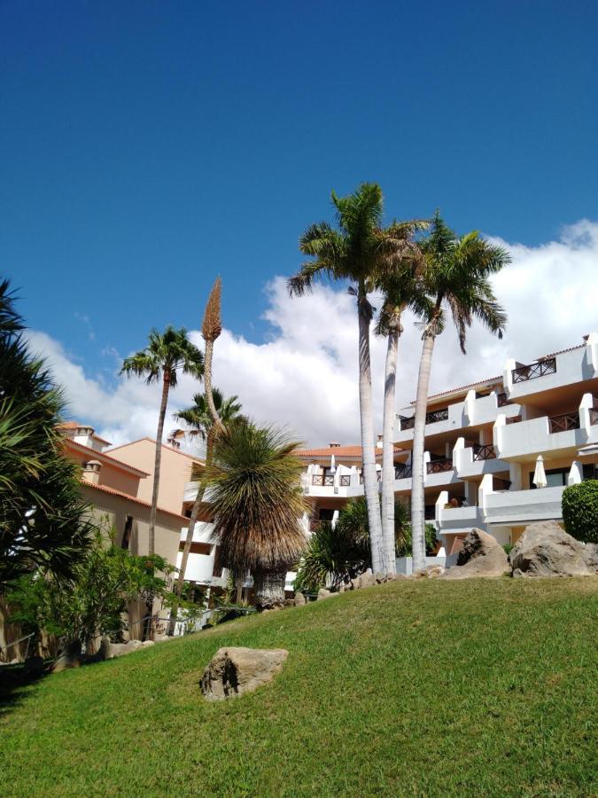 Forest Flat - Big Heated Pool, Terrace, Tv Channels, Golf Courses Сан Мигель Экстерьер фото